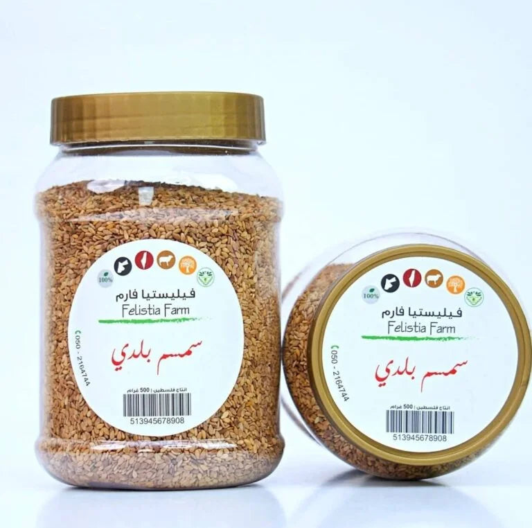Raw Sesame Seeds 450GR