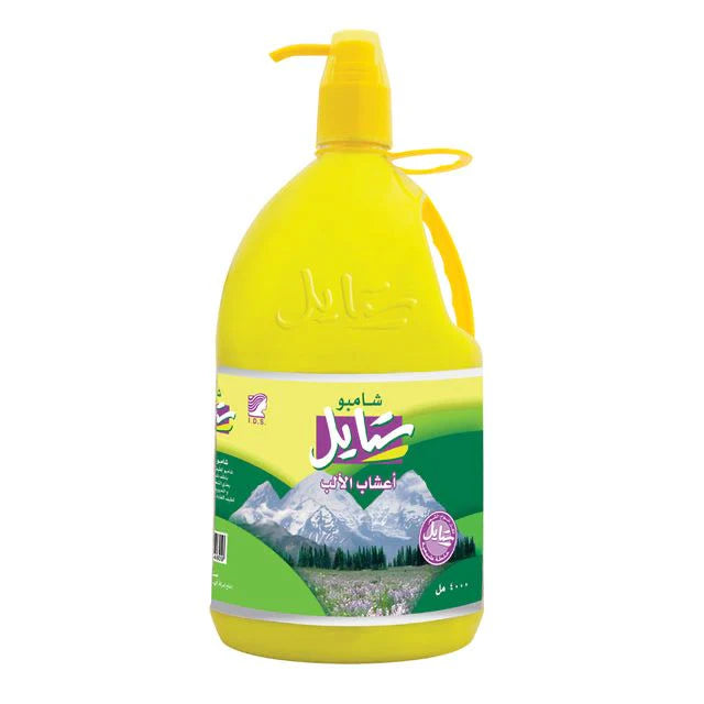 Shampoo Style 4 Liter